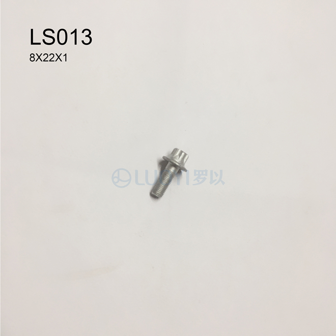 LS013